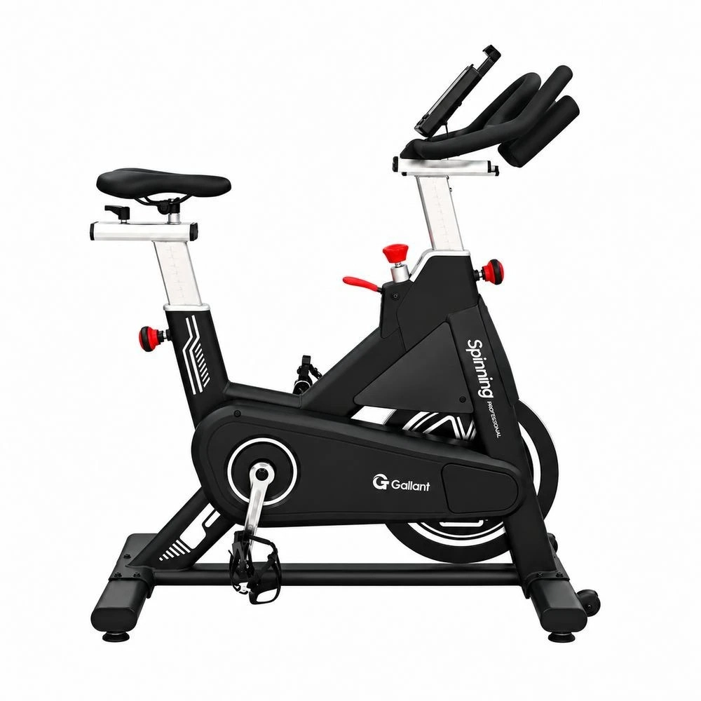 Bicicleta Ergométrica Spinning Professional Magnética