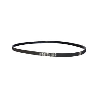 Correia para Bicicleta Ergométrica Magnética Vertical Gallant Elite (35PJ6)