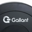 Anilha Olímpica 10kg Gallant Profissional (GAN10O01A-PT)