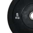 Anilha Olímpica 5kg Gallant Profissional (GAN05O01A-PT)