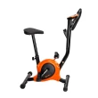 Bicicleta Ergométrica Gallant Flow Vertical Até 100kg (GBE1HBTB-PT)