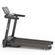Esteira Ergométrica Elétrica Gallant Elite 2.8hp 16kmh 120kg 220v (GEE12)