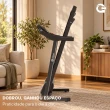 Esteira Ergométrica Elétrica Gallant Trainer 2.0hp 12.8 Km/H 110kg 127V (GEE11M20A-127PT)