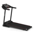 Esteira Ergométrica Elétrica Gallant Trainer 2.0hp 12.8 Km/H 110kg 220V (GEE11M20A-220PT)