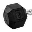Par Halter 8kg + 8kg Dumbbell Sextavado Emborrachado Pegada Cromada Gallant (GDB08F3B-PT)