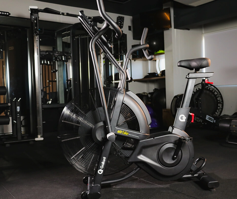 Air Bike Gallant Professional