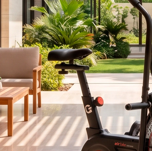 Imagem ilutrativa banco Air bike
