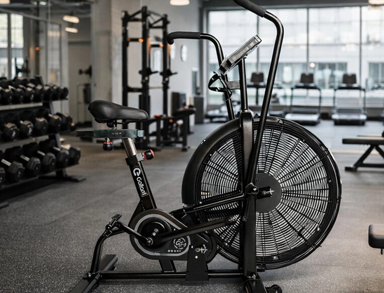 Air Bike Gallant Advanced de lado